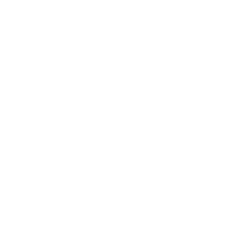 1 ОШБ